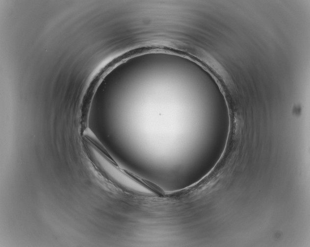 X0000090481020200707272314