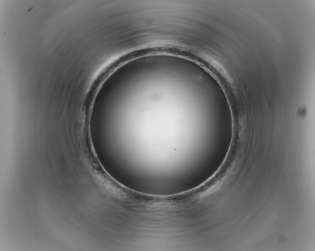 X0000090481021200707272314