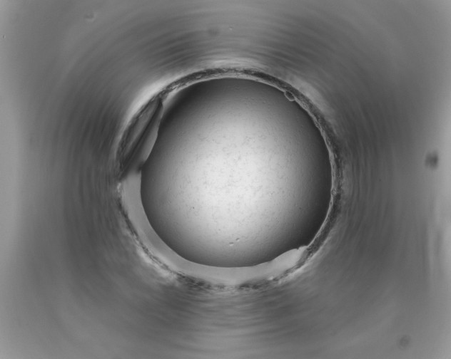 X0000090481022200707272314