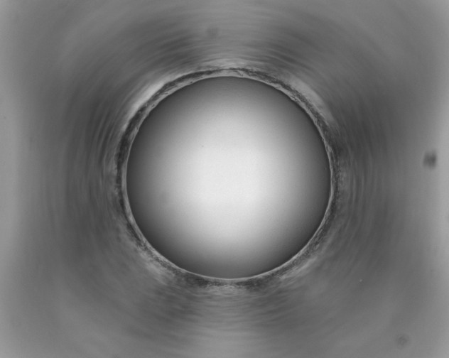 X0000090481023200707272314