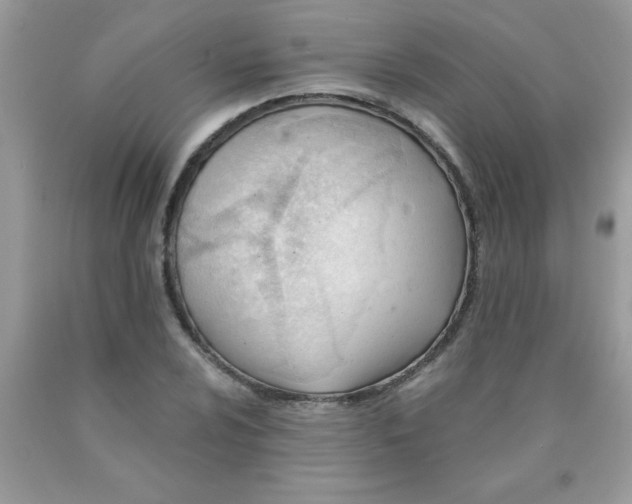 X0000090481024200707272314