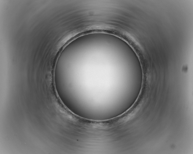 X0000090481025200707272314