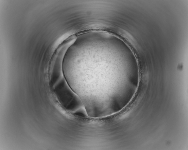 X0000090481026200707272314