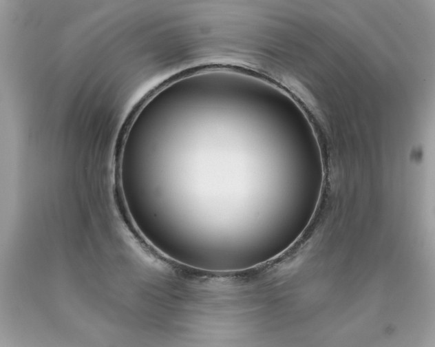 X0000090481028200707272314