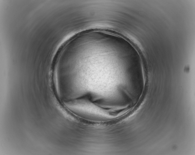 X0000090481029200707272314