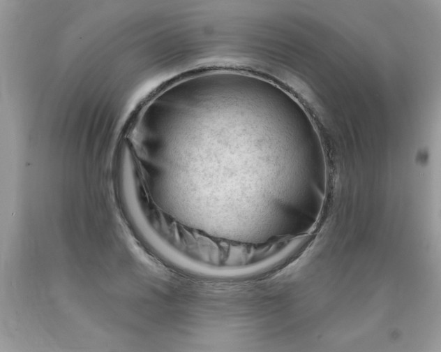 X0000090481030200707272314