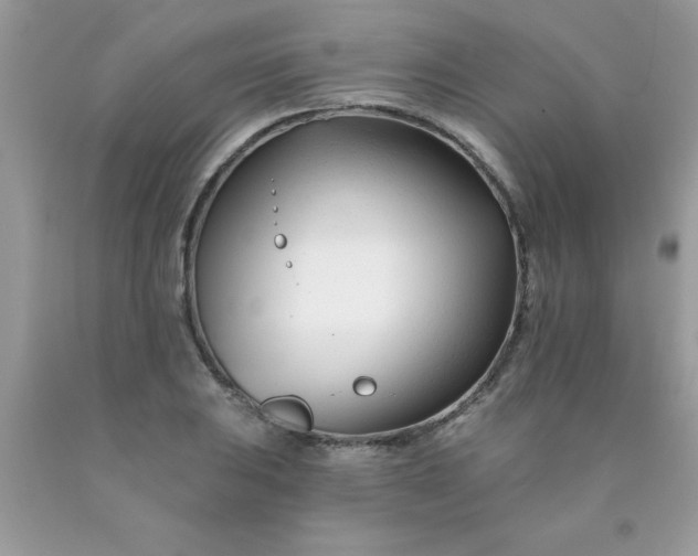 X0000090481031200707272314