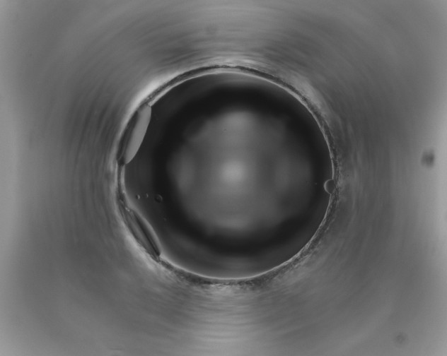 X0000090481032200707272314