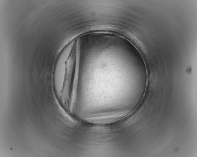 X0000090481033200707272314