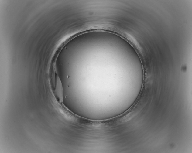 X0000090481035200707272314