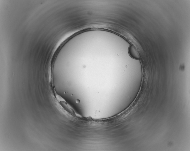 X0000090481036200707272314