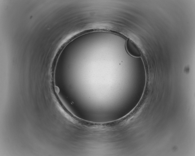 X0000090481037200707272314