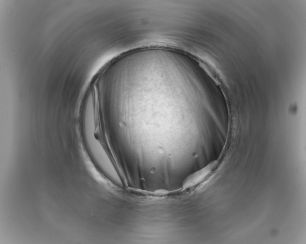 X0000090481038200707272314