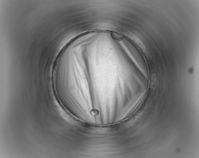 X0000090481039200707272314