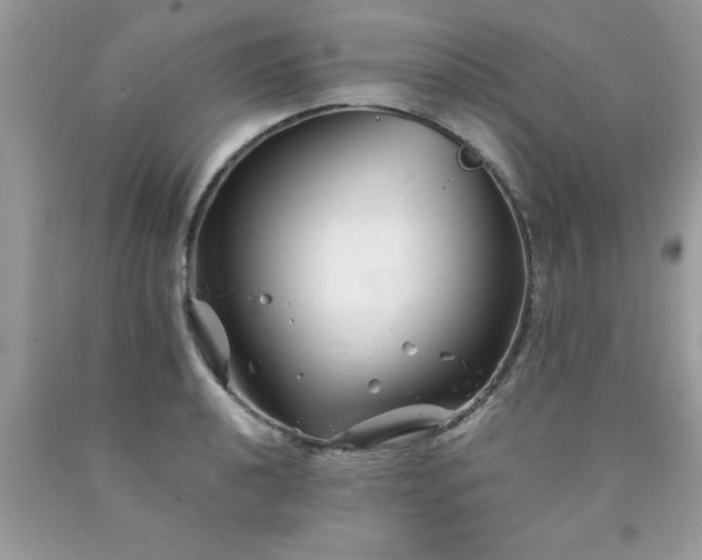 X0000090481040200707272314