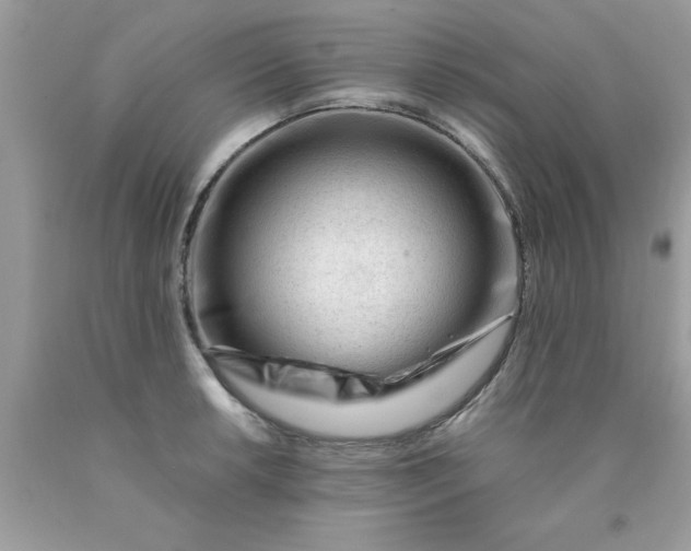 X0000090481042200707272314