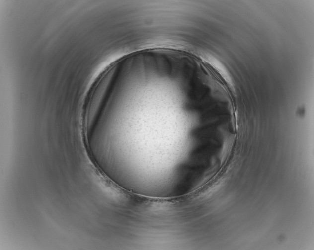 X0000090481043200707272315