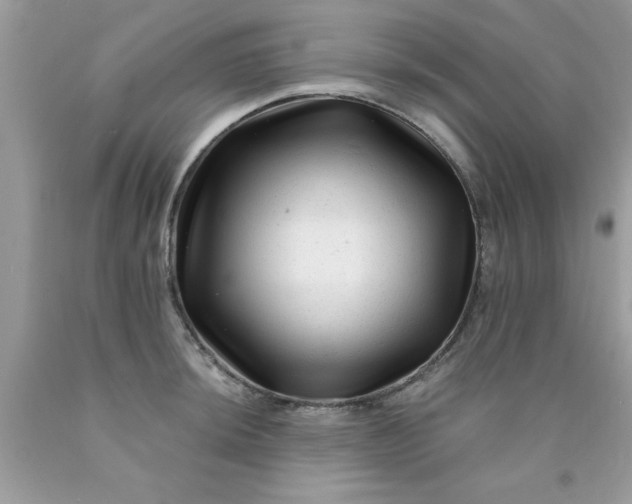 X0000090481044200707272315