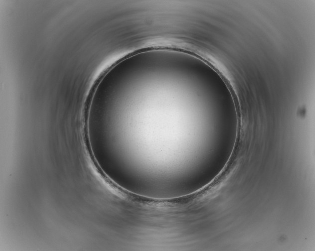 X0000090481045200707272315