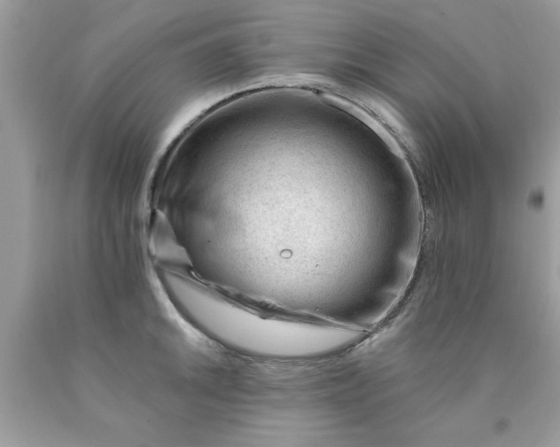 X0000090481046200707272315