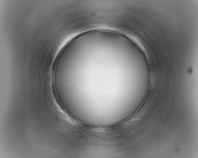 X0000090481048200707272315