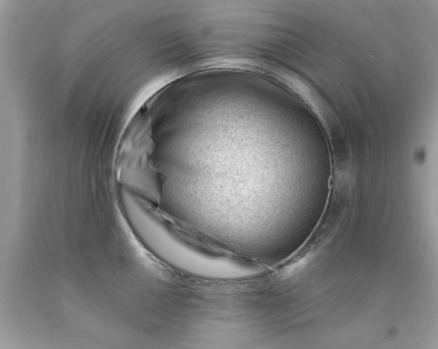 X0000090481050200707272315