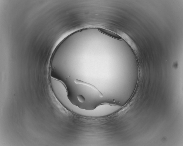 X0000090481052200707272315