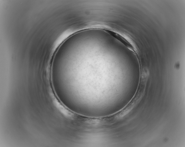 X0000090481054200707272315