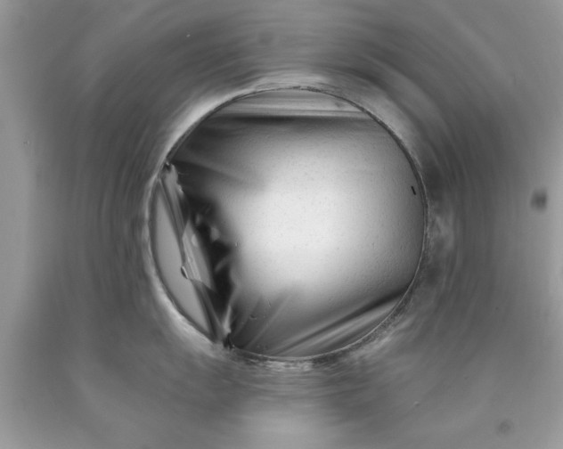 X0000090481055200707272315