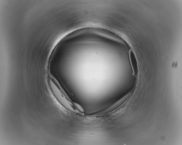 X0000090481056200707272315