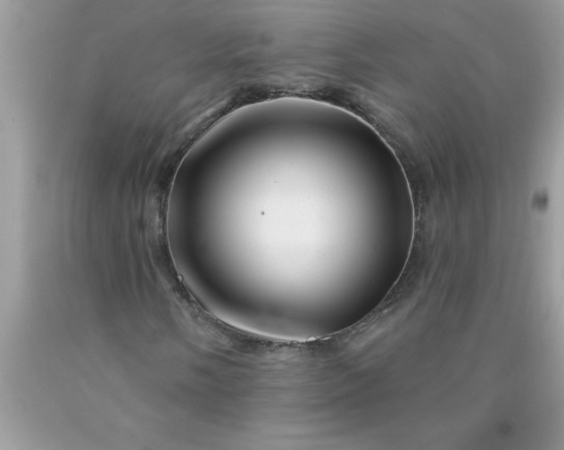 X0000090481058200707272314