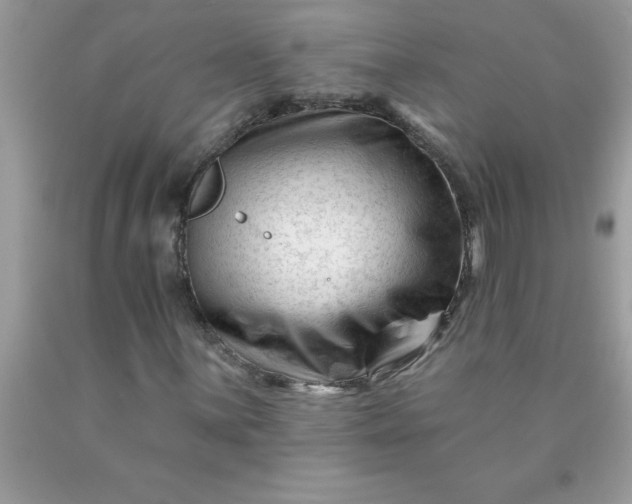 X0000090481059200707272314