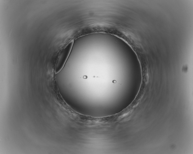 X0000090481061200707272314