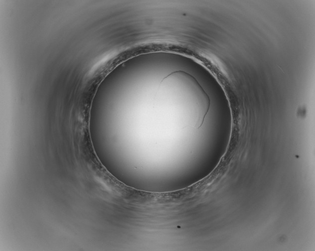 X0000090481064200707272314