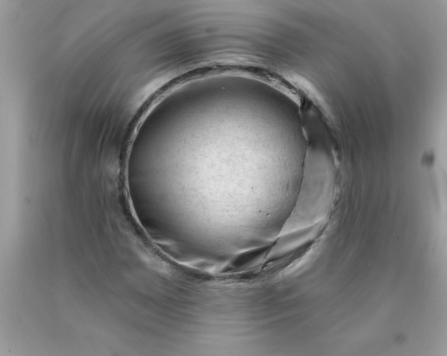 X0000090481065200707272314