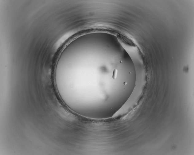 X0000090481066200707272314