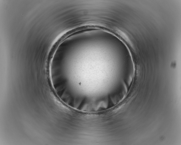 X0000090481068200707272314