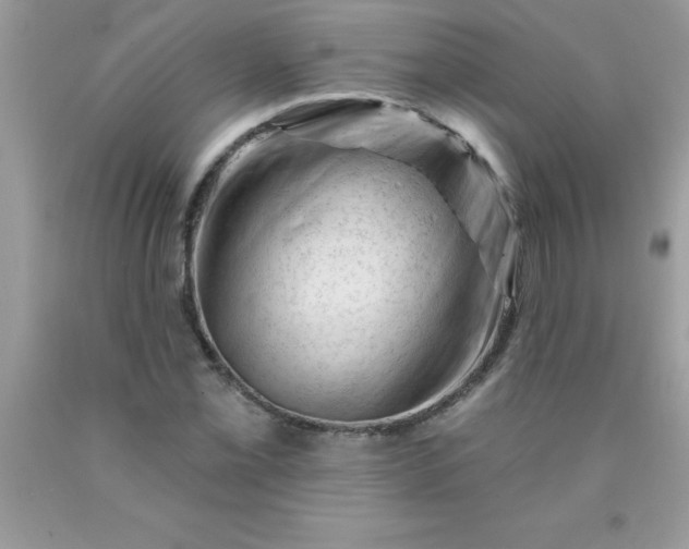 X0000090481069200707272314