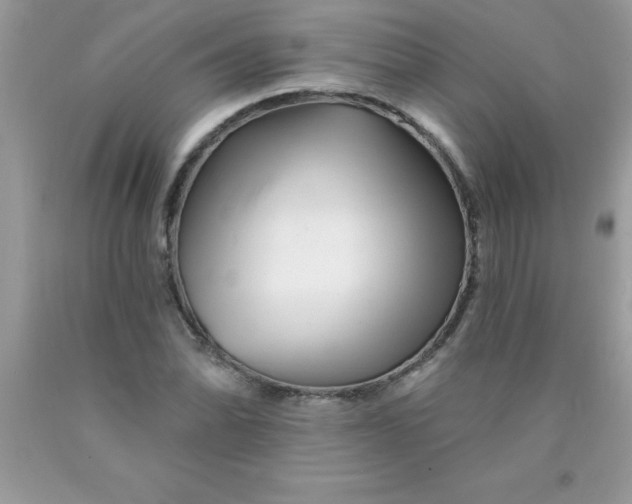 X0000090481070200707272314