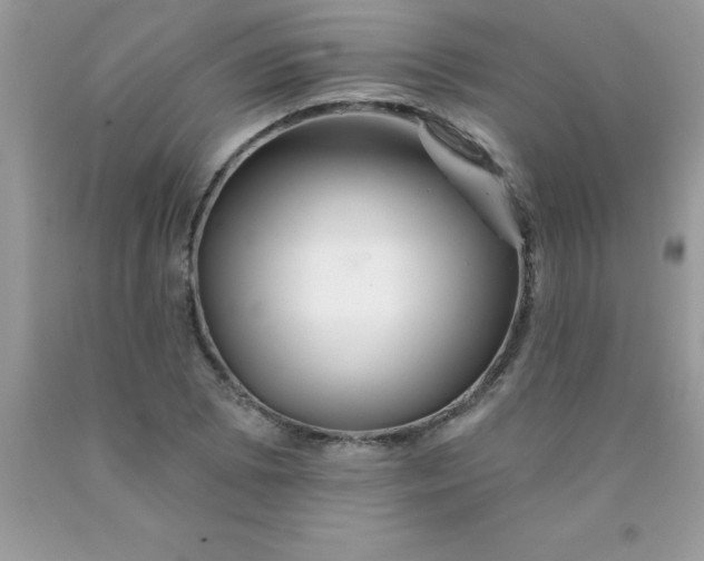 X0000090481073200707272314