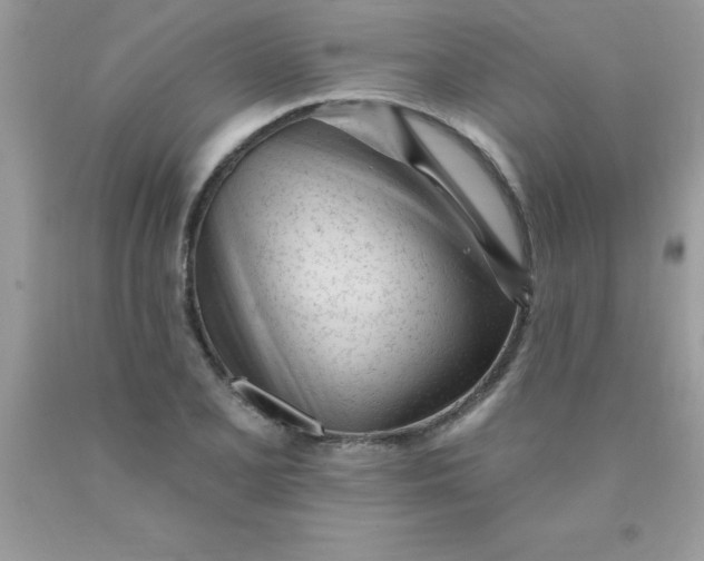 X0000090481077200707272314