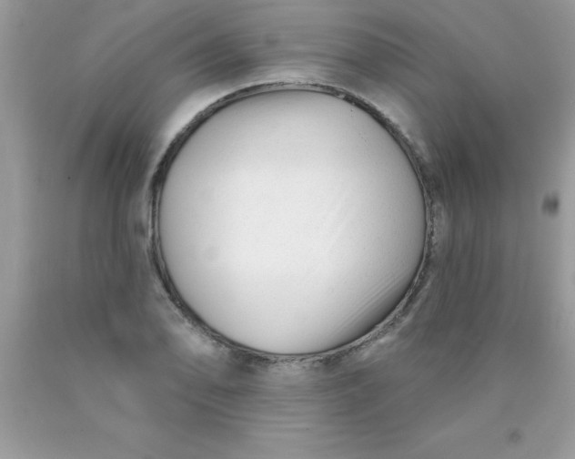 X0000090481078200707272314