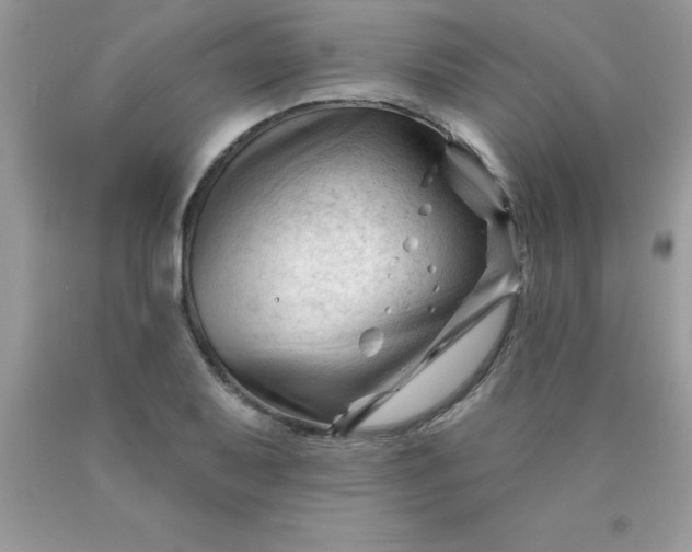 X0000090481079200707272314