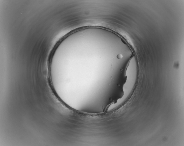 X0000090481080200707272314