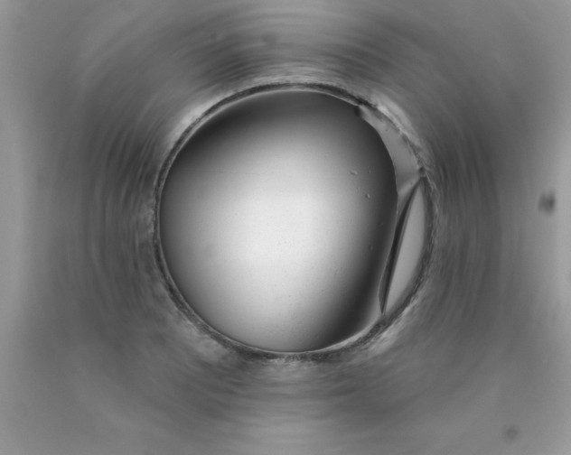 X0000090481081200707272314