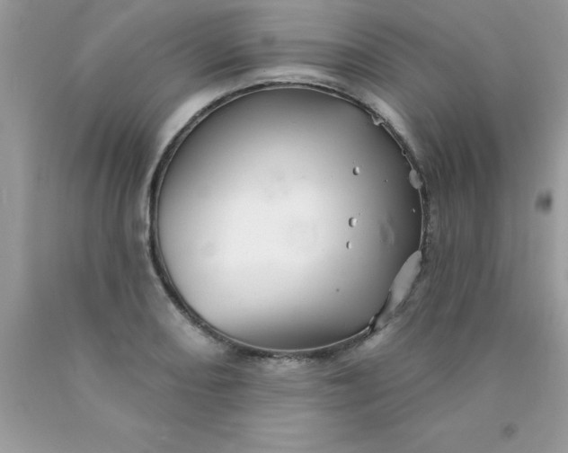 X0000090481082200707272314