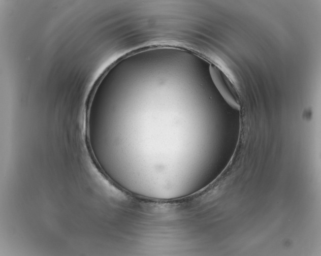 X0000090481084200707272314