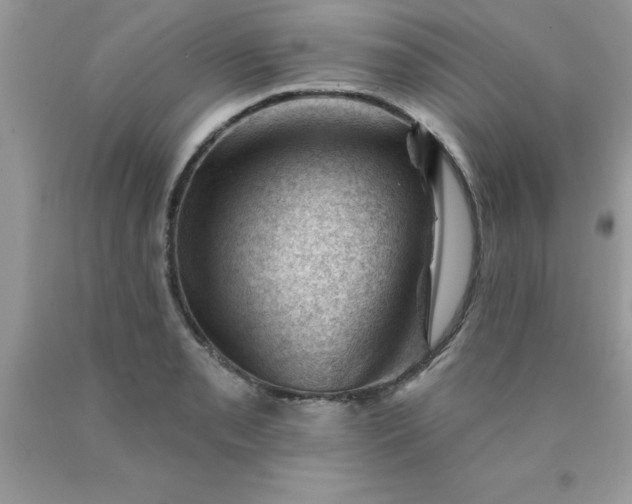 X0000090481085200707272314