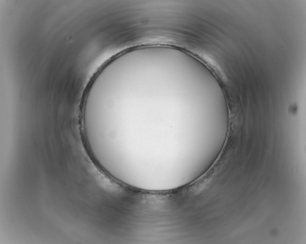 X0000090481086200707272314