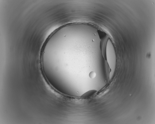 X0000090481087200707272314